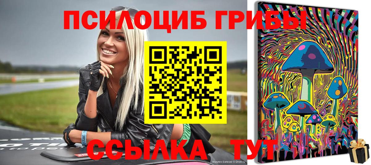 Бузулук  Галлюциногенные грибы мицелий  Вход с VPN 