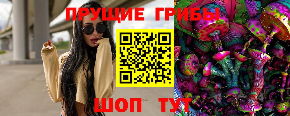 Псилоцибиновые грибы Psilocybine cubensis Бузулук