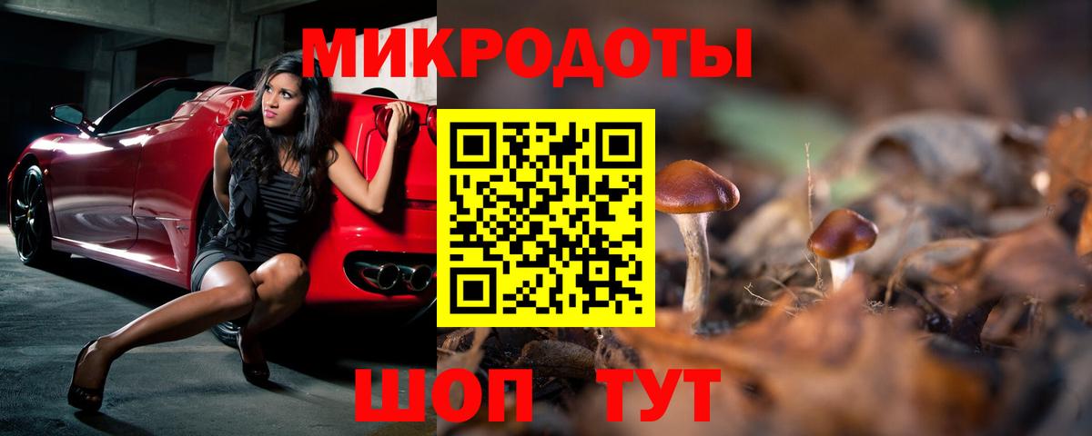 A PVP Бузулук